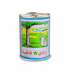 wadi_fatma_condensed_milk_large_2058033987